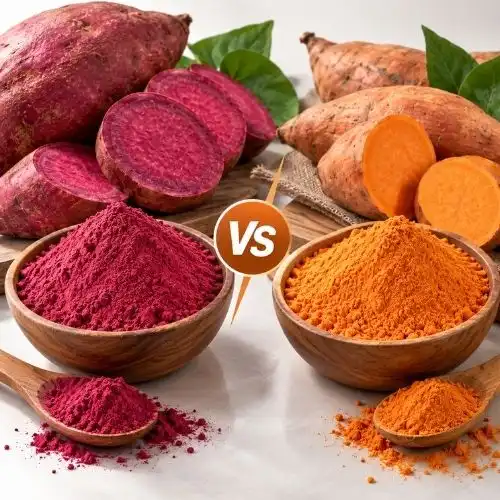 Sweet Potato Red vs Orange: Which Variety Fits Commercial Buyers?
